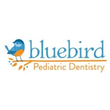 bluebird pediatric dentistry